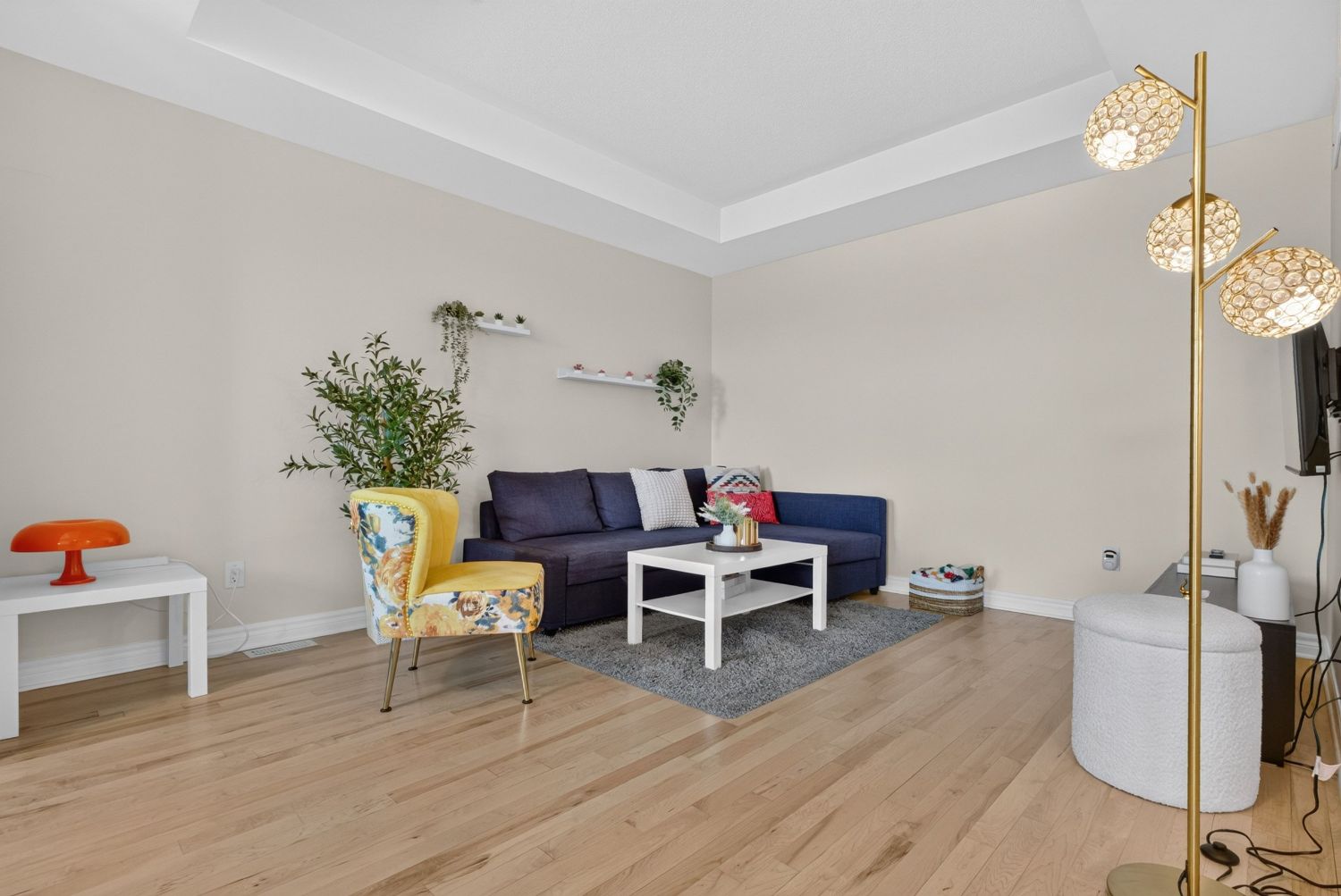 Living room with tray ceiling