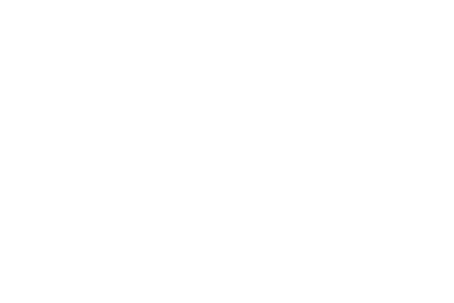 Jim Mattice